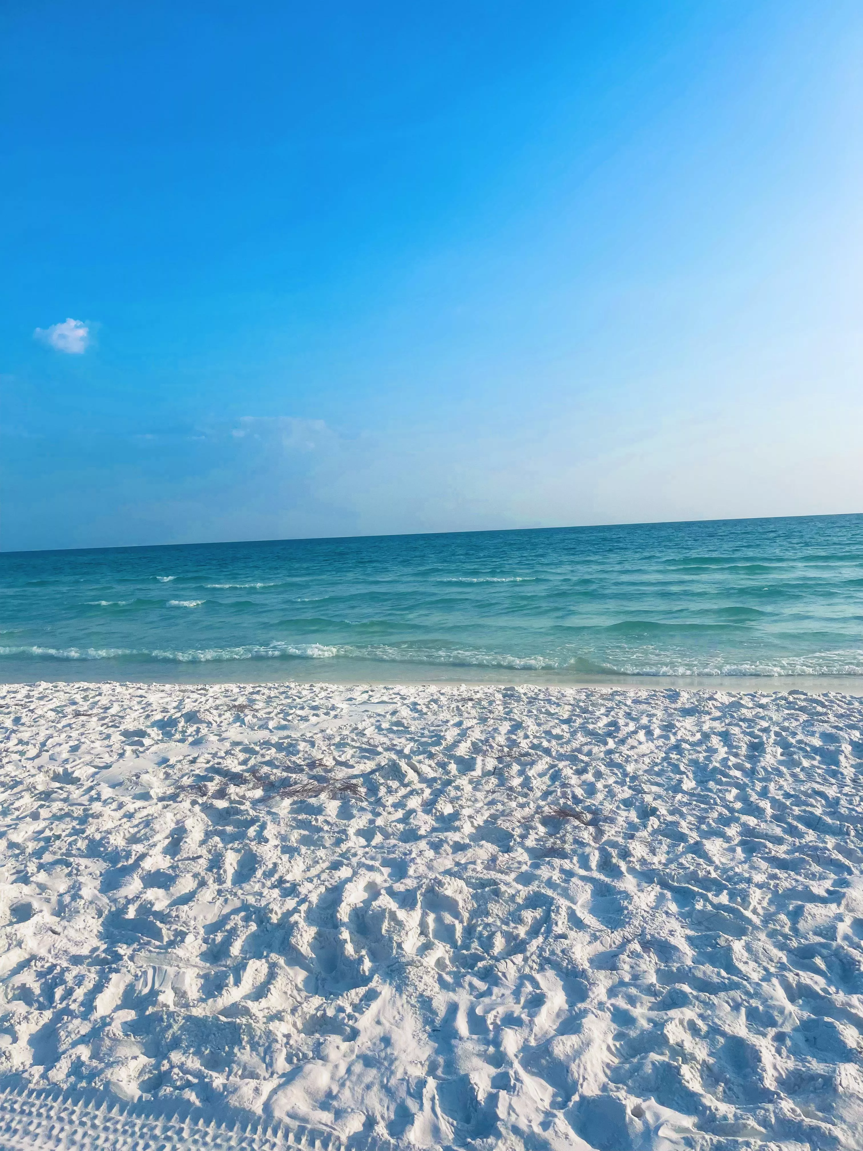 Santa Rosa Beach, FL posted by MarsupialAdvanced305