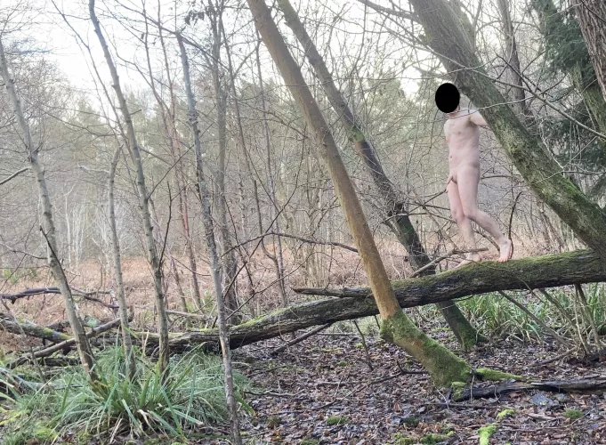 Up Trees by robertbertos101