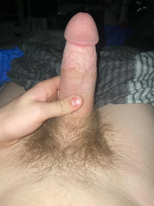 18 HMU by Electronic-Bad3948