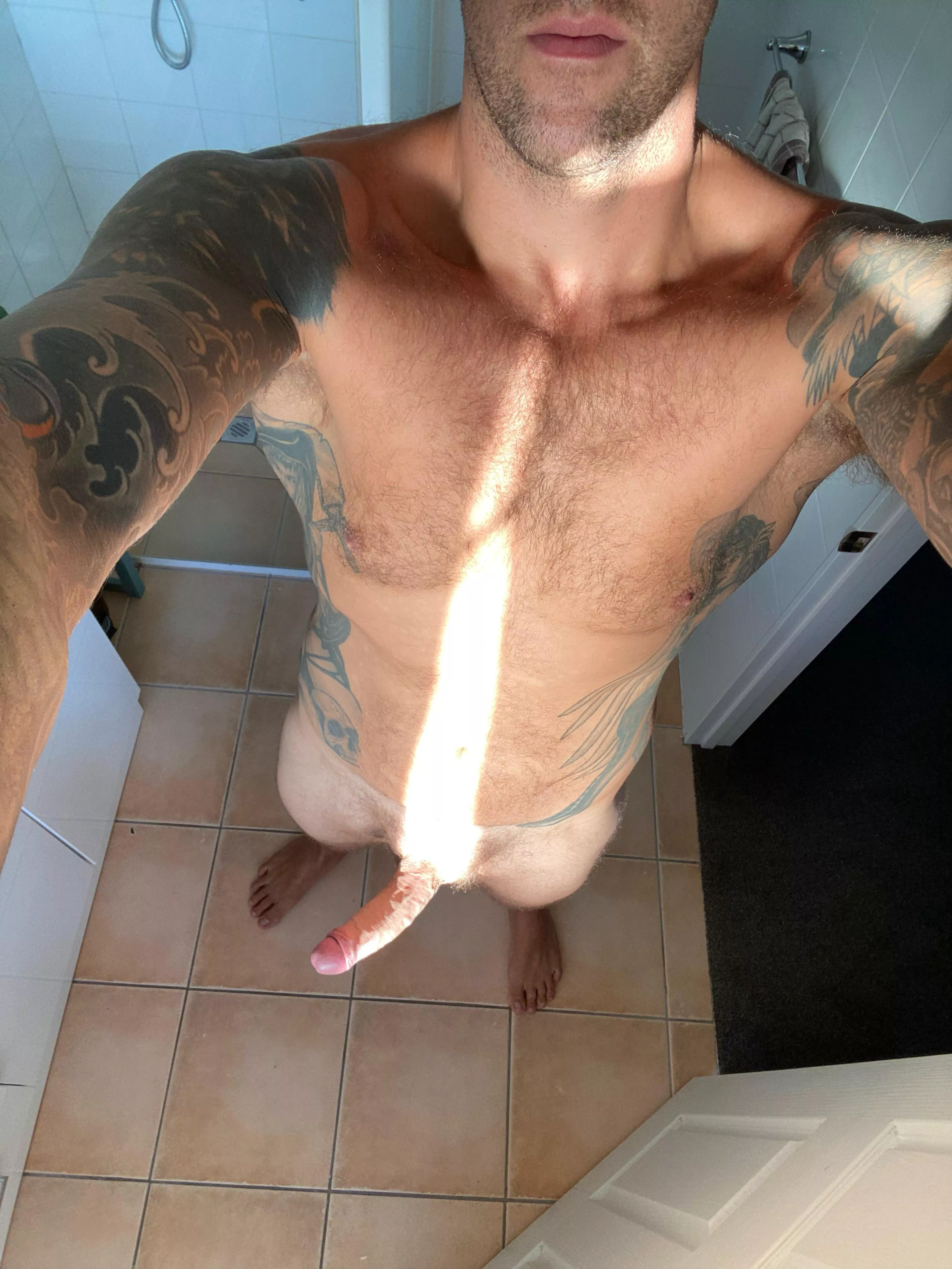 (36) 6’5” tall kiwi dad .. wanna ride?? posted by tumekemybro