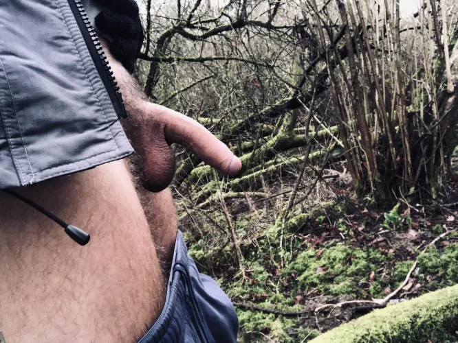 As soon as I thought about pulling them down I instantly got a semi (29)  by SlickR42