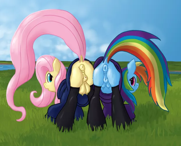 Fluttershy and Rainbow Dash showing off for you~ [Callichrome] by Callichrome