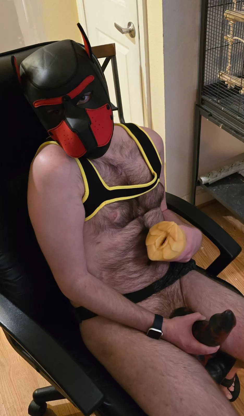 Good pup, with some bad dragon posted by GoWithFlowIdk