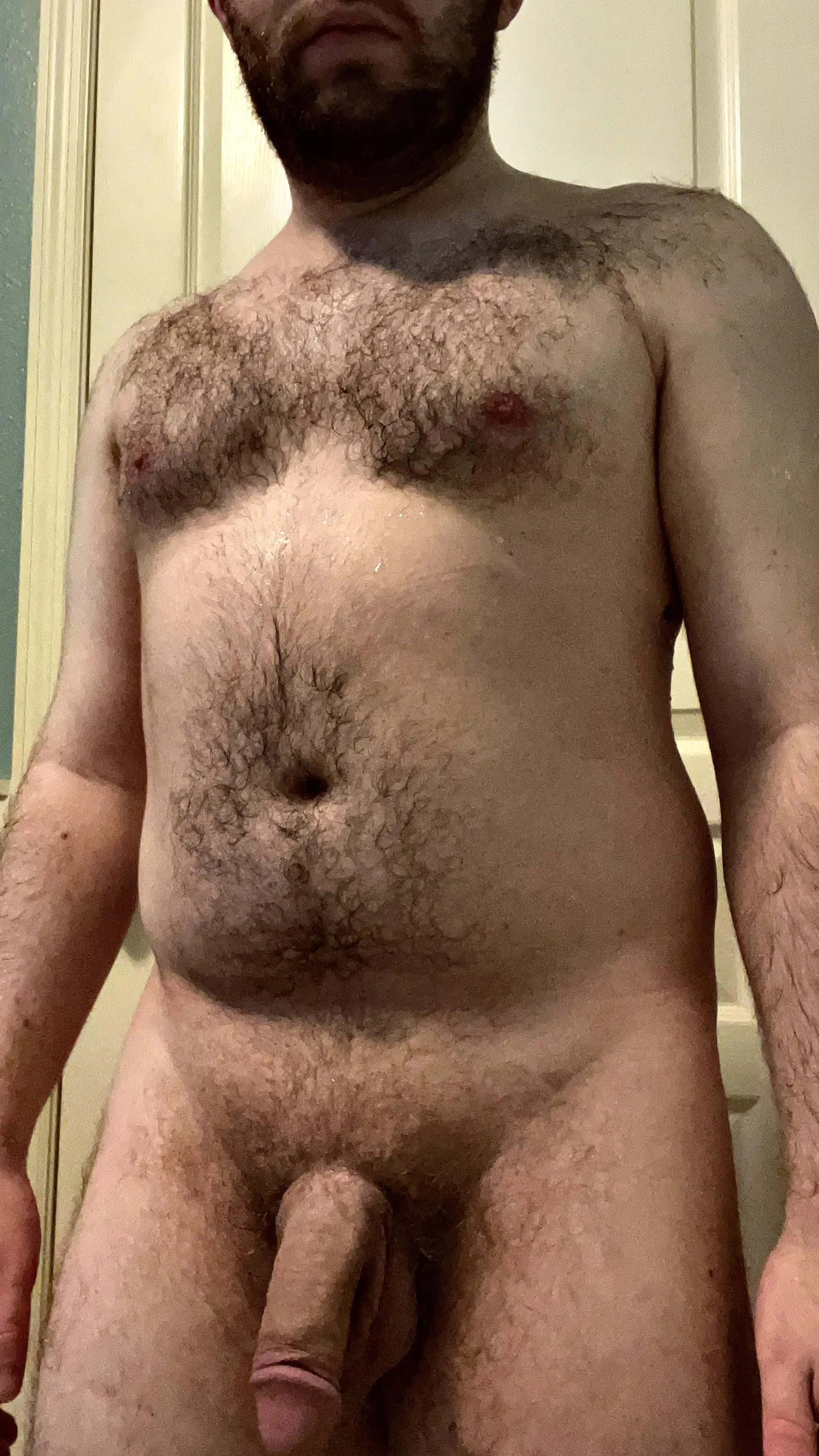 I'm just a teddy bear 🧸  posted by SoftServedNapkin