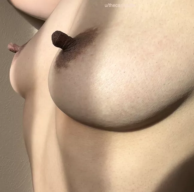 Milk chocolate and dark chocolate posted by thecaringdoc