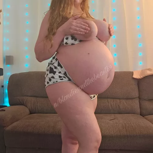 My G sized tits look small with this belly! by BlondieAndTheBeast69