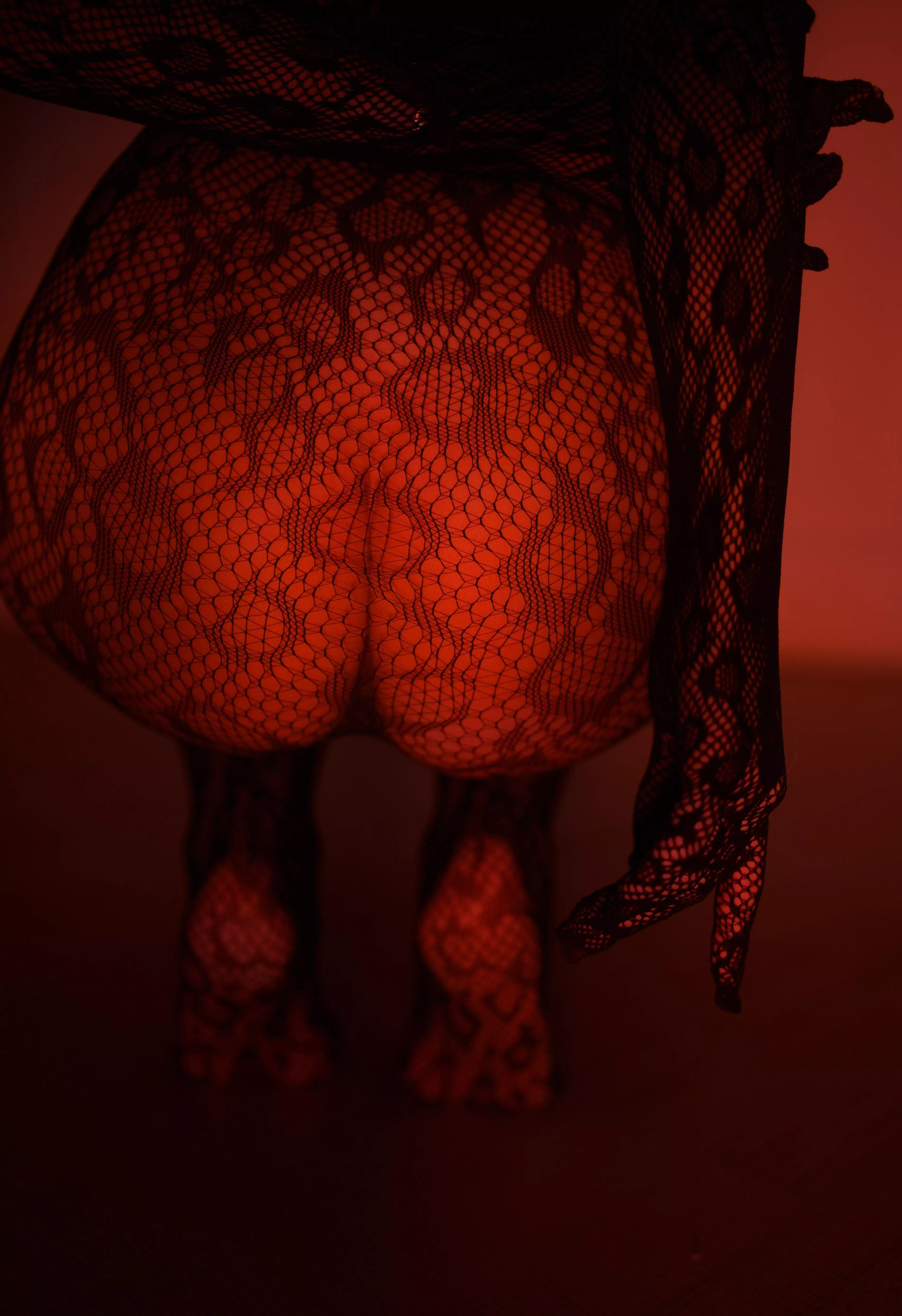 This wild cat will show you what passion is posted by GooeyRitz42