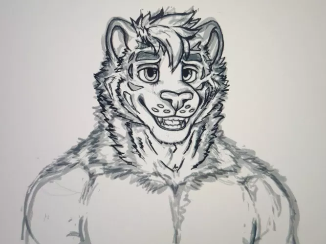 Tiger sona commission progress! Never drawn a tiger before 😭 by BulletDraws