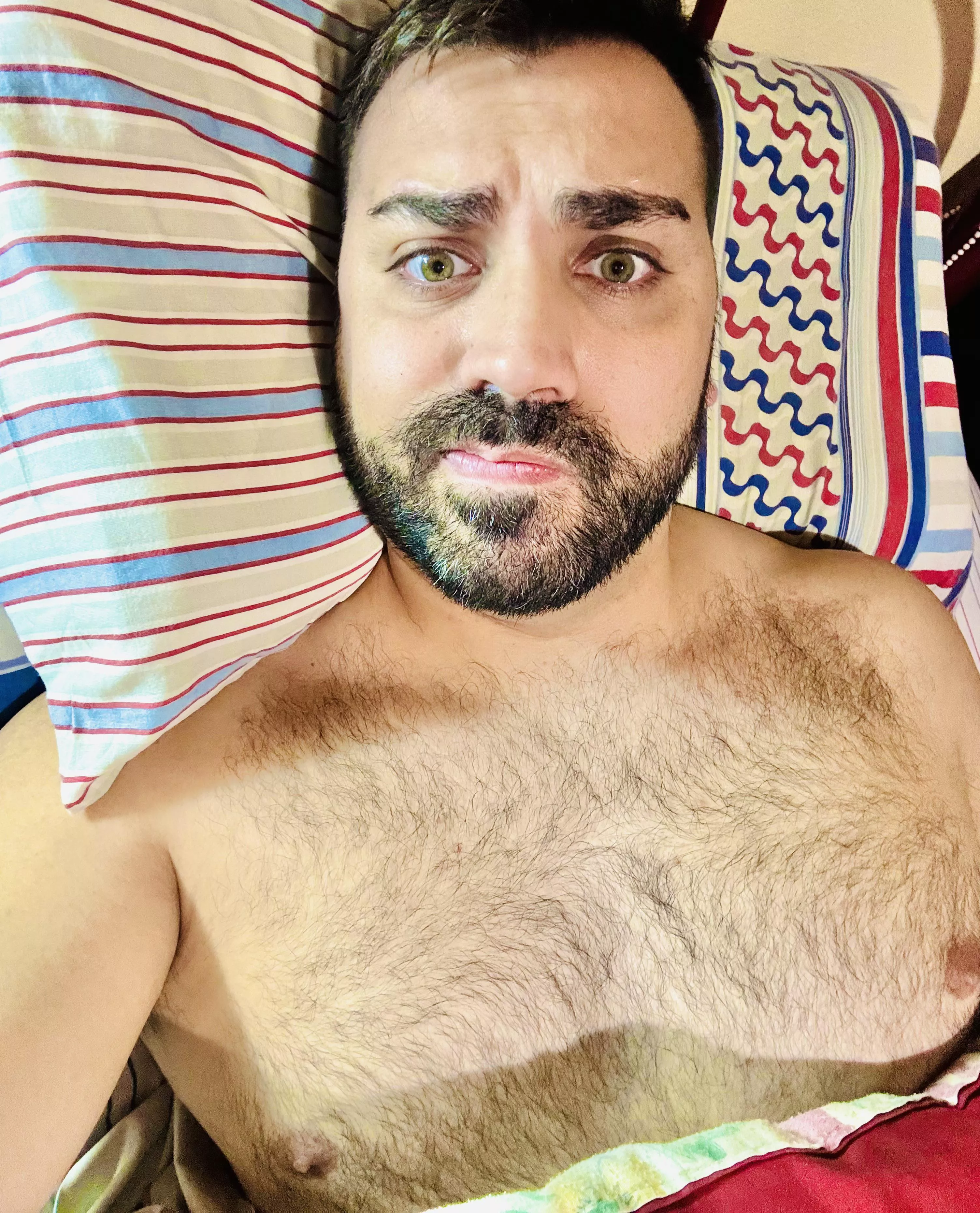 Wanna cuddle? posted by Realistic_Jaguar2396