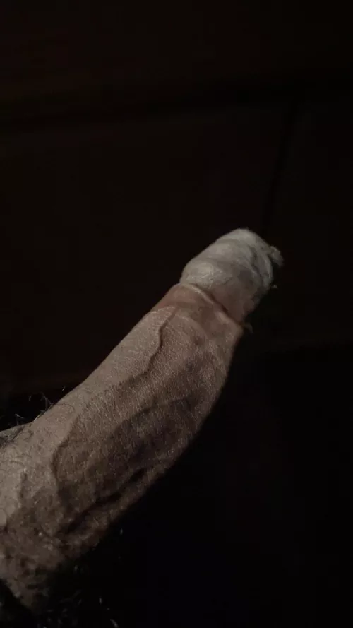 Watch out 👀.. There’s a monster lurkin in the darkness by Negative-Birds