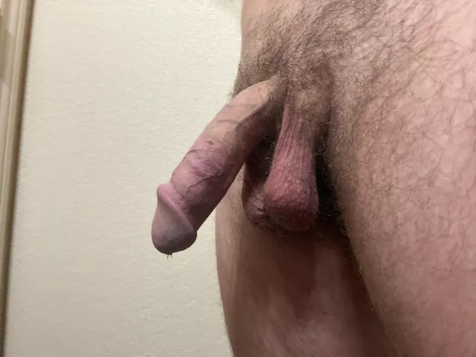 What you think? by CentralTxBull