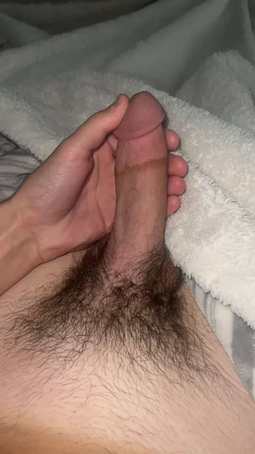 Would you sit on this hairy dick?  by No_Tomorrow1886