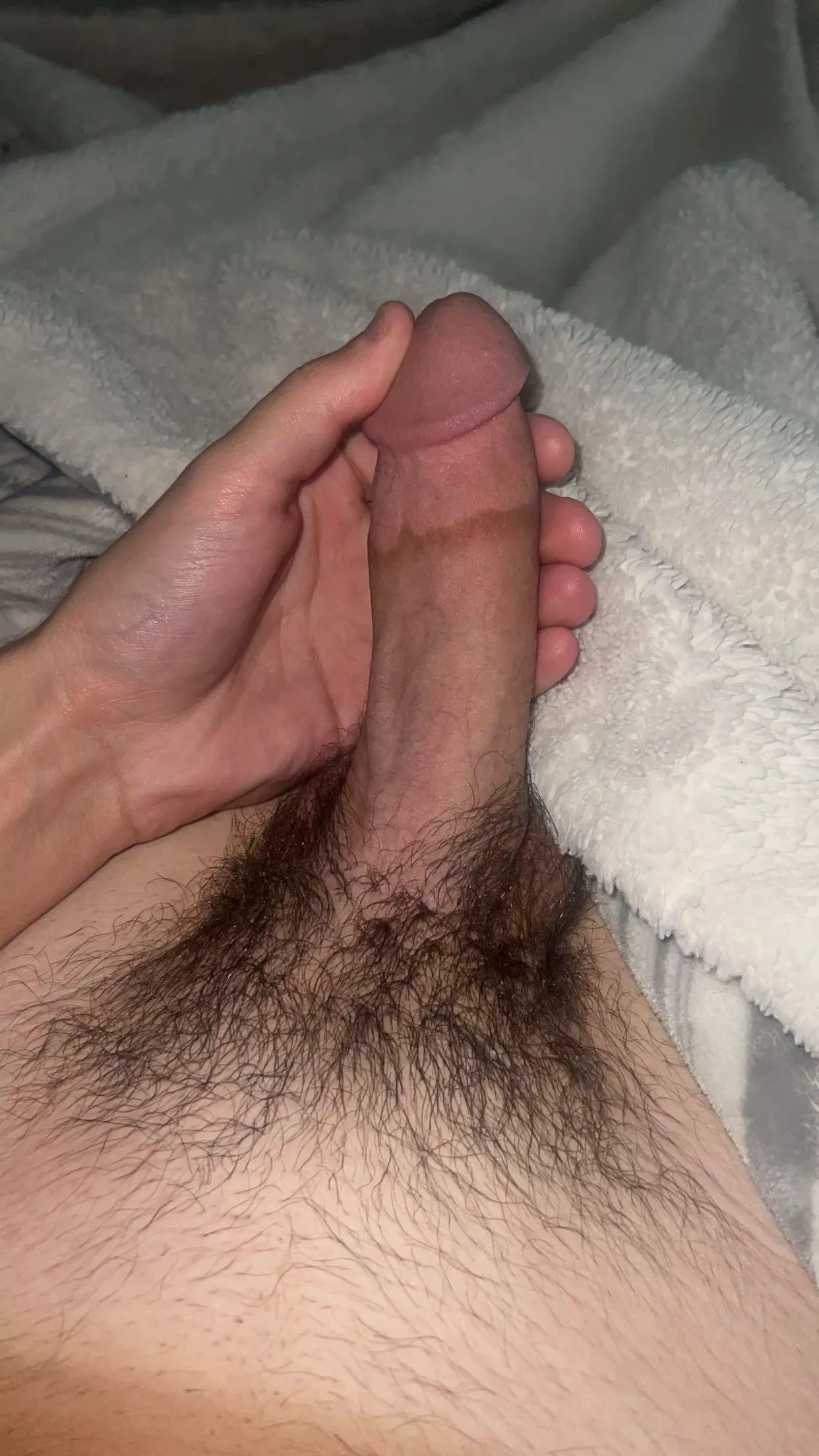 Would you sit on this hairy dick?  posted by No_Tomorrow1886