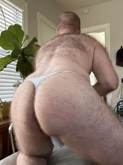 are bears allowed here? by NoForm468