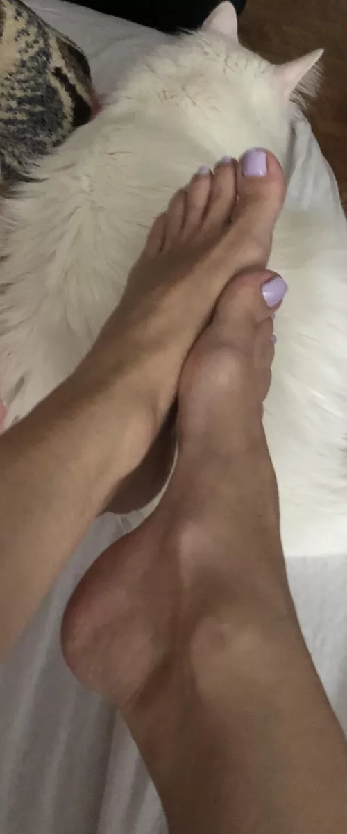 It's the middle of the week..will you last until the weekend? by albastoes