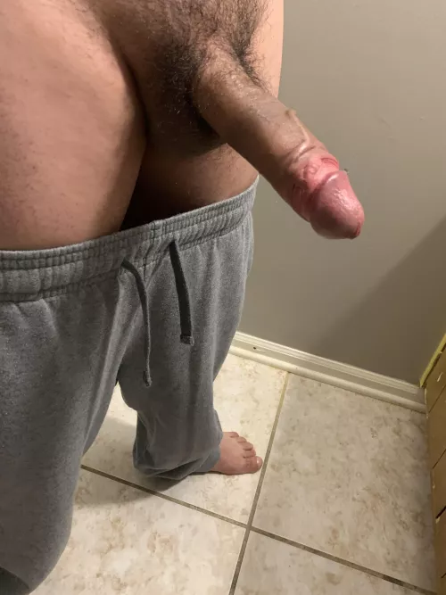 Need a trip to pound town? by IcyyyyVeins