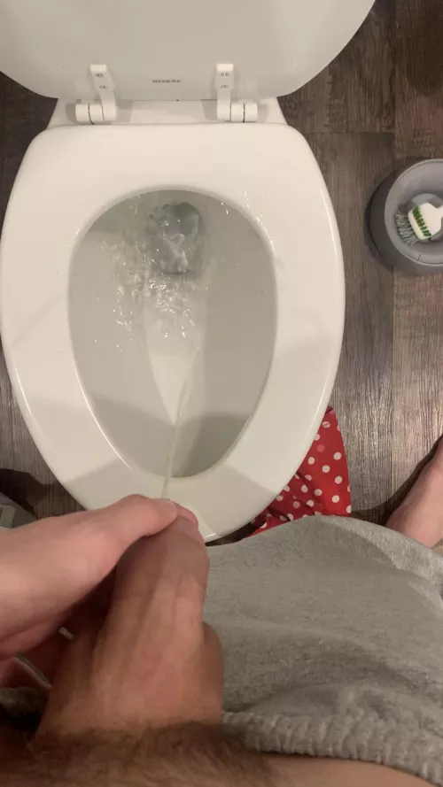 Sissy piss  by SissyPrincess_11