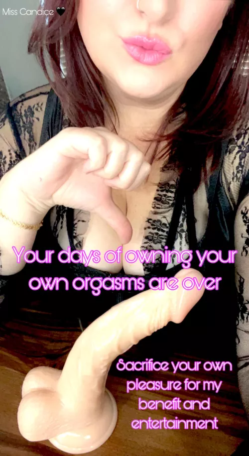 The denial is so harsh but the tease is sooooo good 🖤 by Orchid-Entire