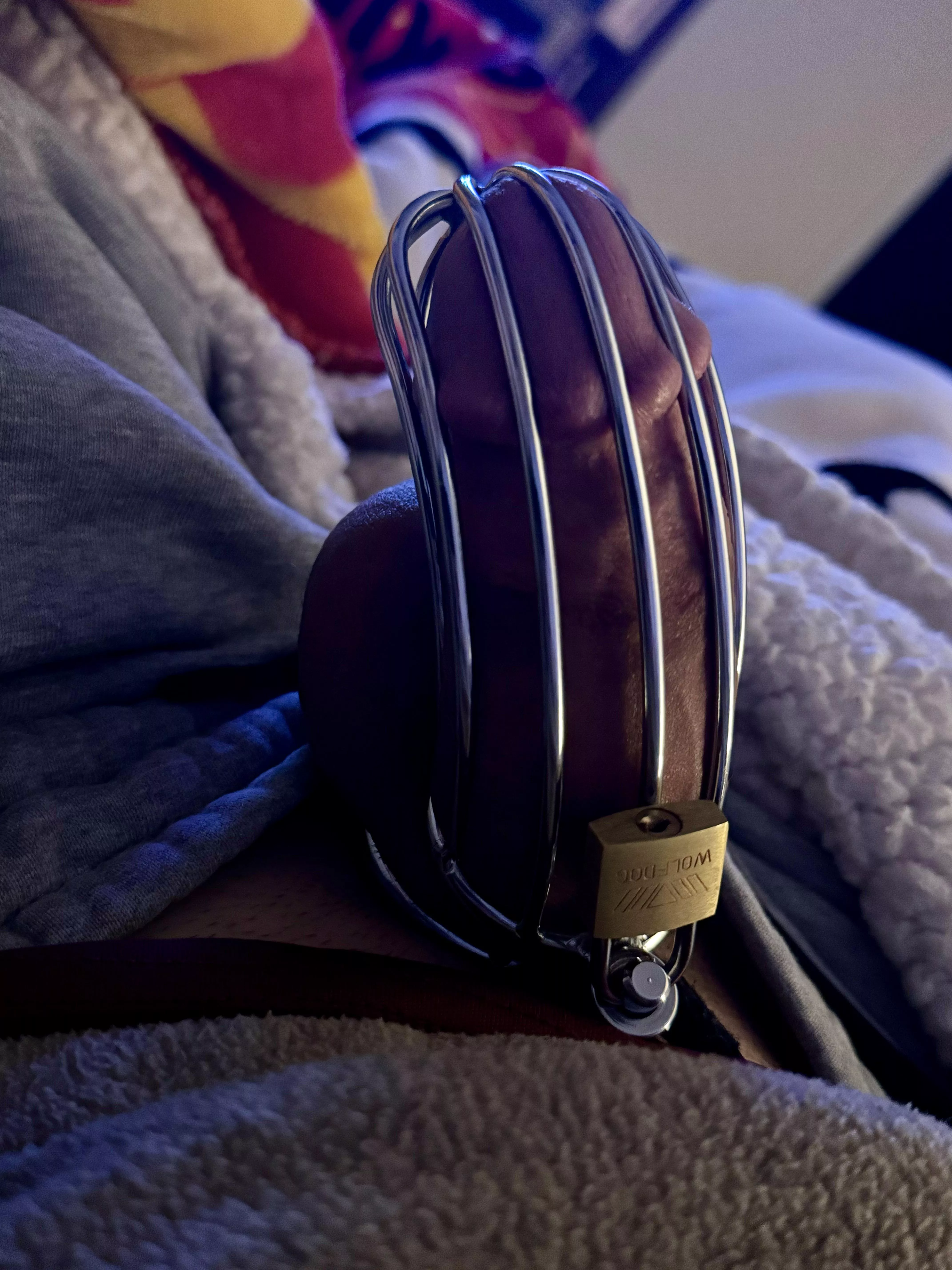 Wife locked me up for the week of my birthday (Monday) posted by fmita12