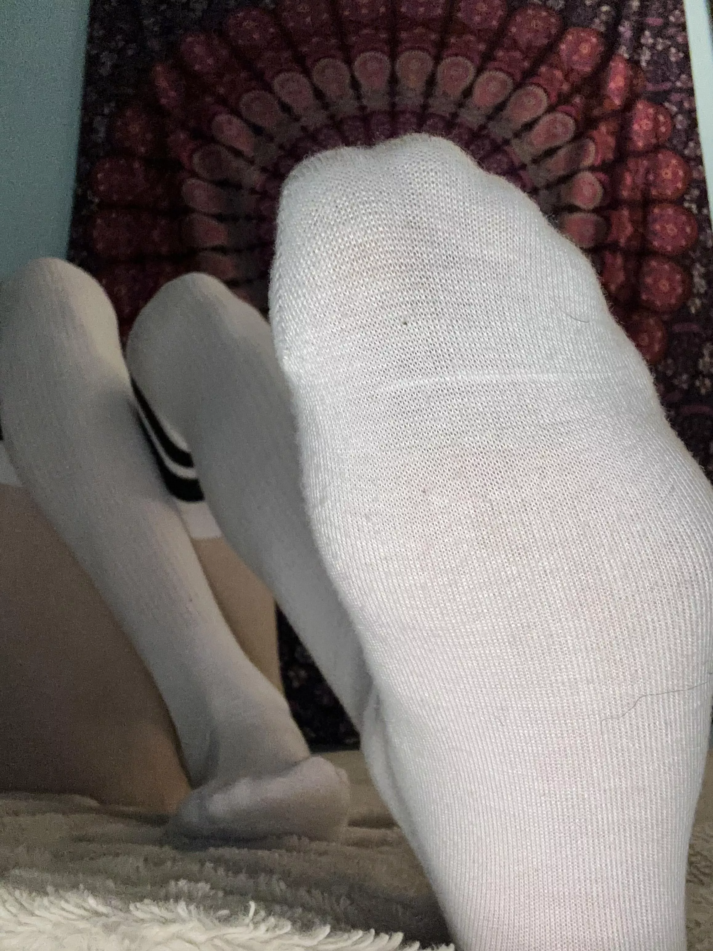Worship my thigh highs [T] posted by Madame-Violet