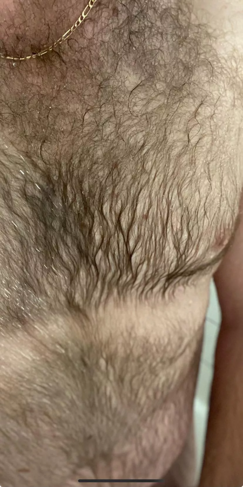 [33] a little more for imagination posted by Mobile-Chicken6101