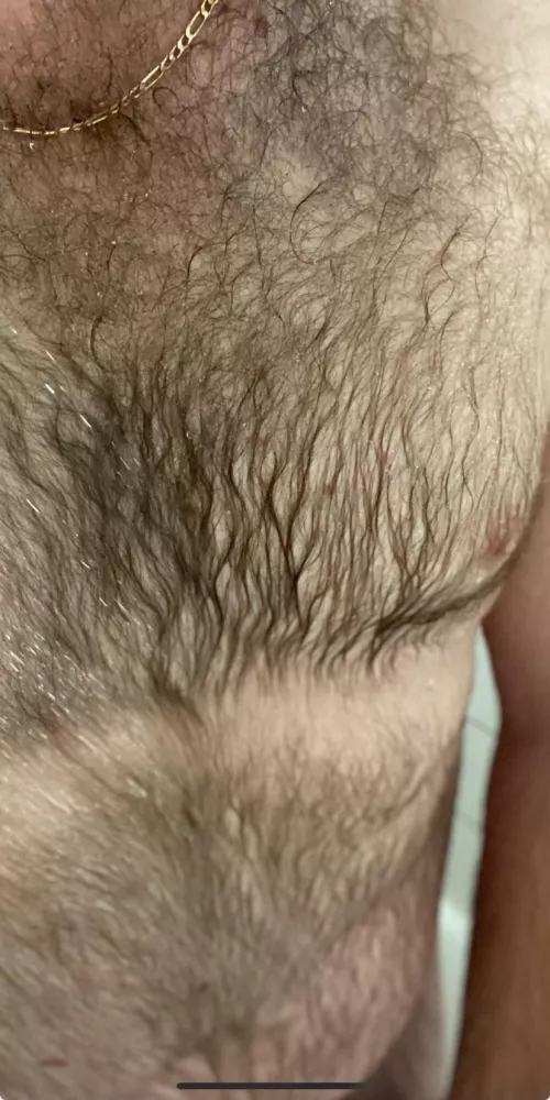 [33] a little more for imagination by Mobile-Chicken6101