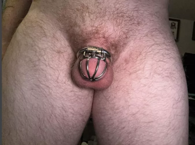 Almost 6 months strong! by Mcjigglebreast