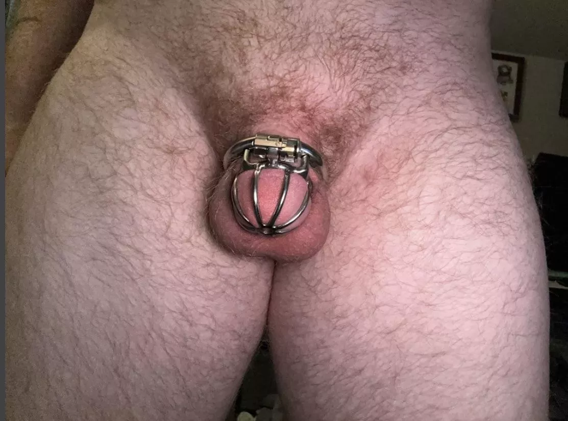 Almost 6 months strong! posted by Mcjigglebreast