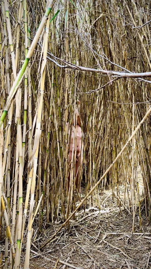 Behind the scenes by neomysfodienss