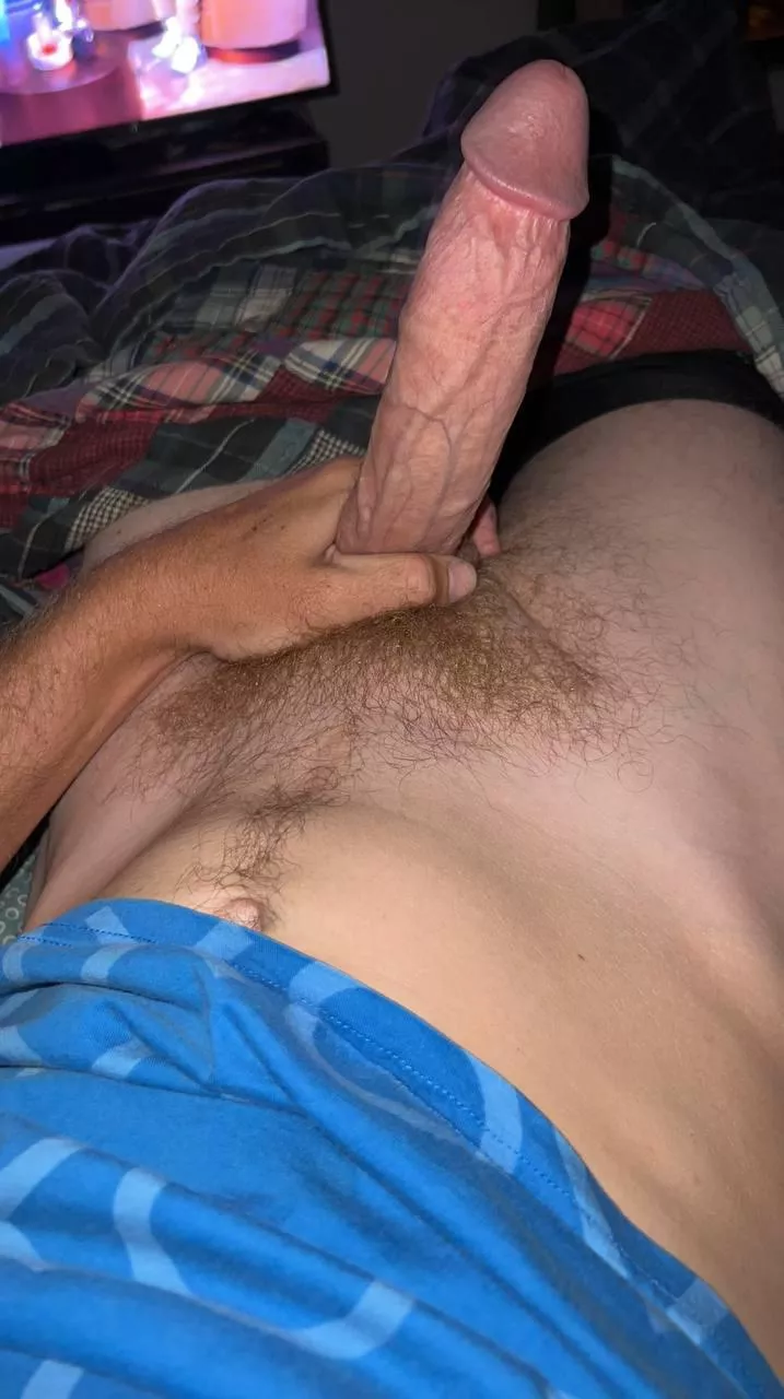 Bobham5305 posted by Turbulent_Log4021