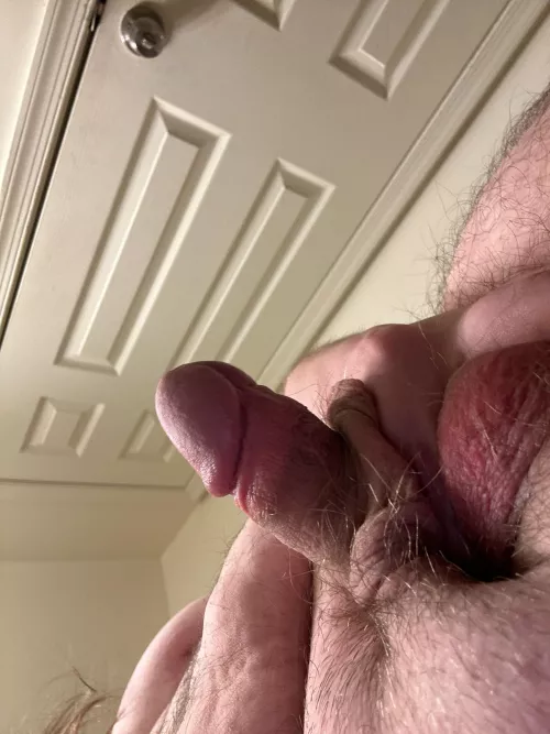 First post by Dependent-Badger8518