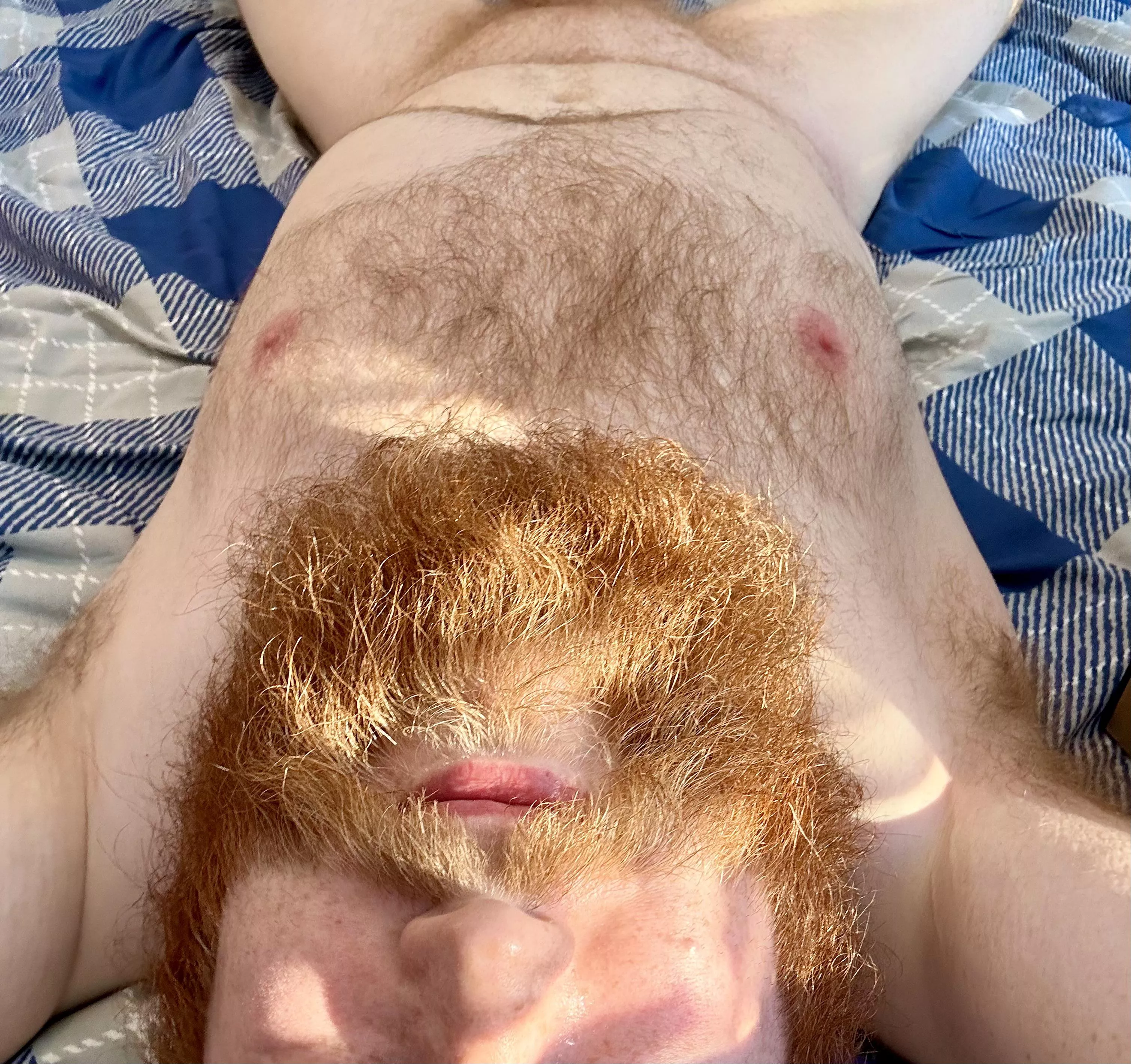 Hello there posted by someguyyy1123