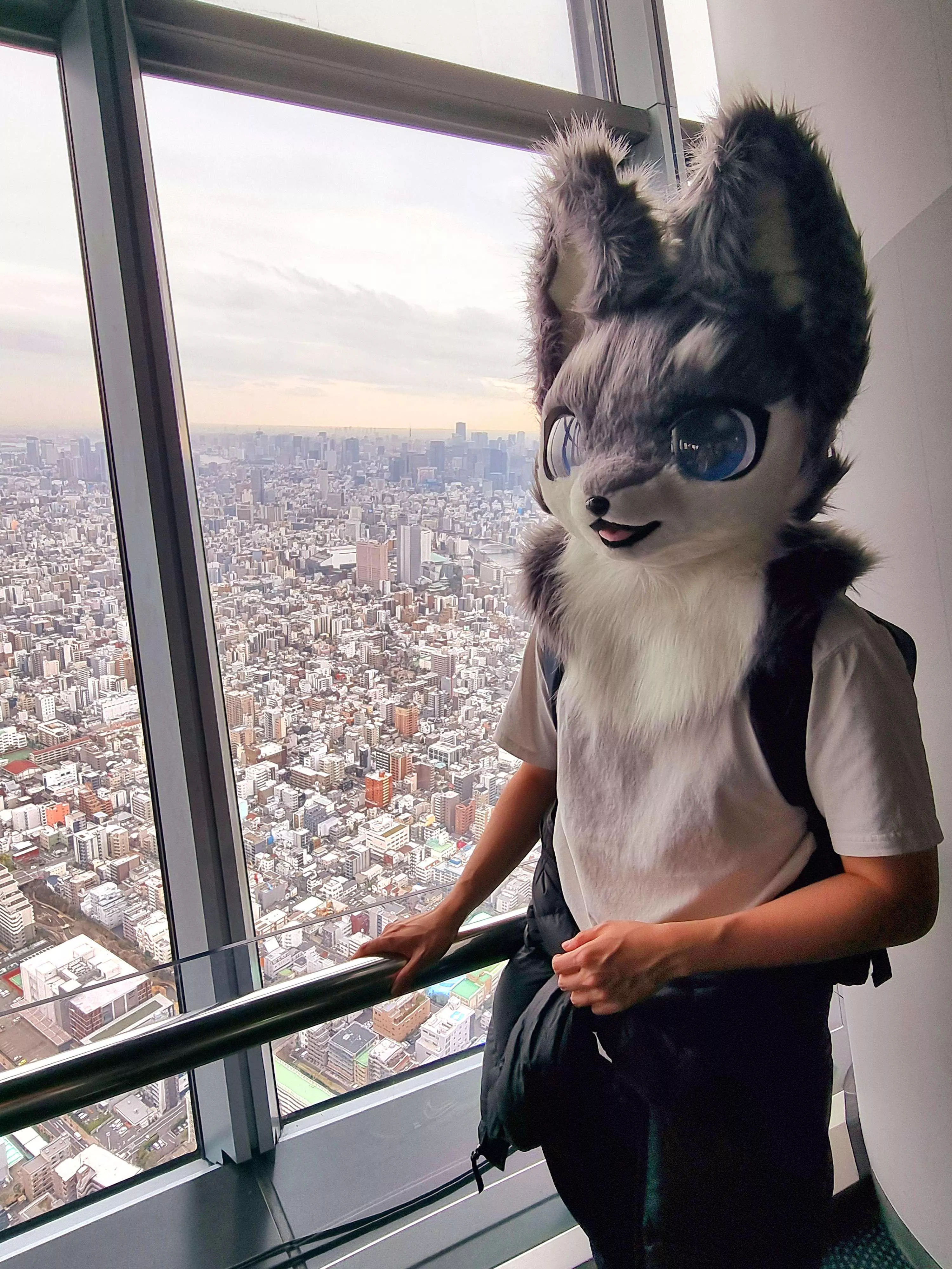 I'm in Tokyo! (having some fun before going to an indie game showcase)  posted by Brian0749