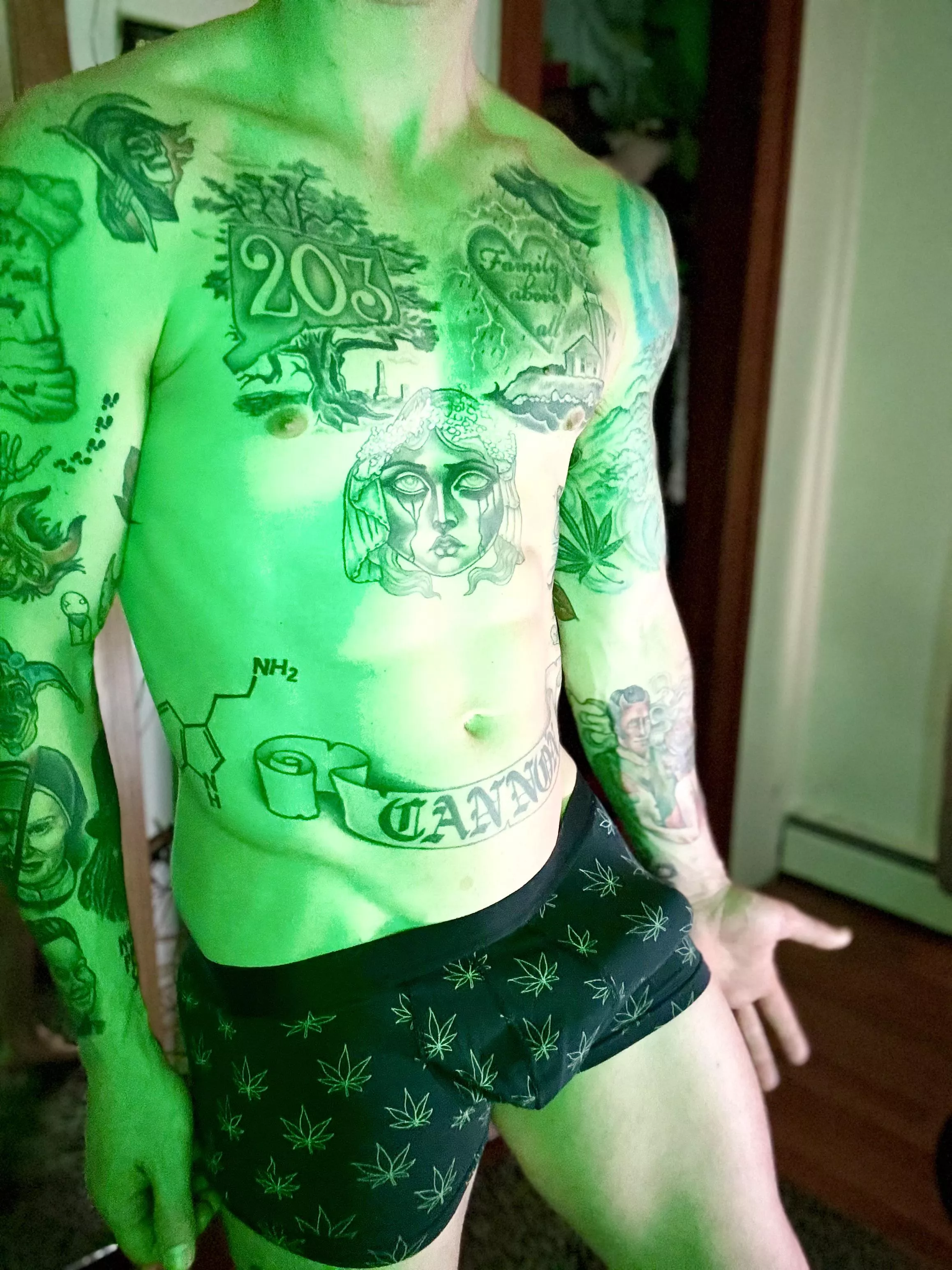 Love my weed leaf briefs 🩲 posted by DankNature