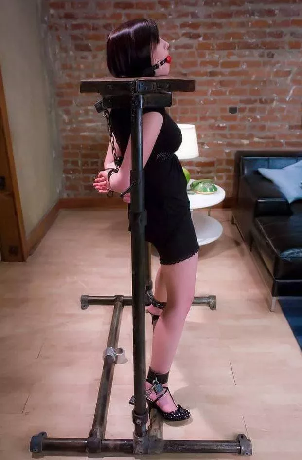 Nice Contraption posted by Comfortable-Egg1572