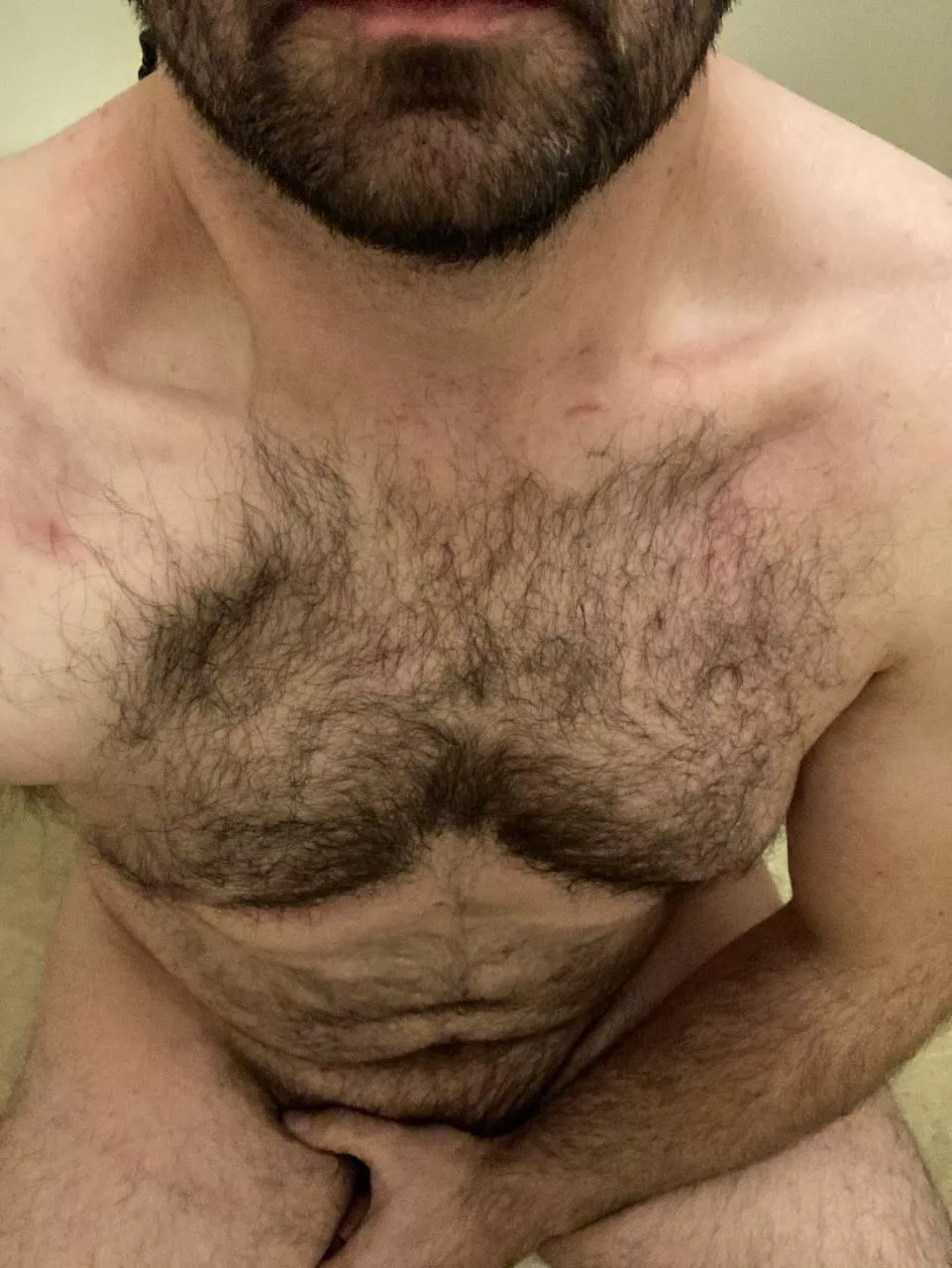 (36) Anyone like a dad with a hairy chest and beard? posted by DFWCowboy88
