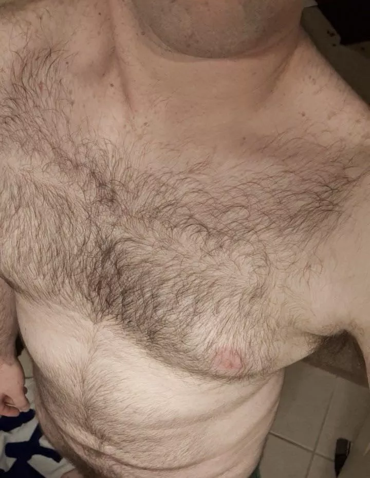 Am I hairy enough to be considered an otter? posted by AppearanceMammoth873