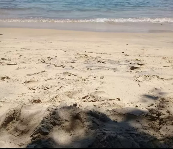 Cayo Sombrero, Venezuela by petitechloexo