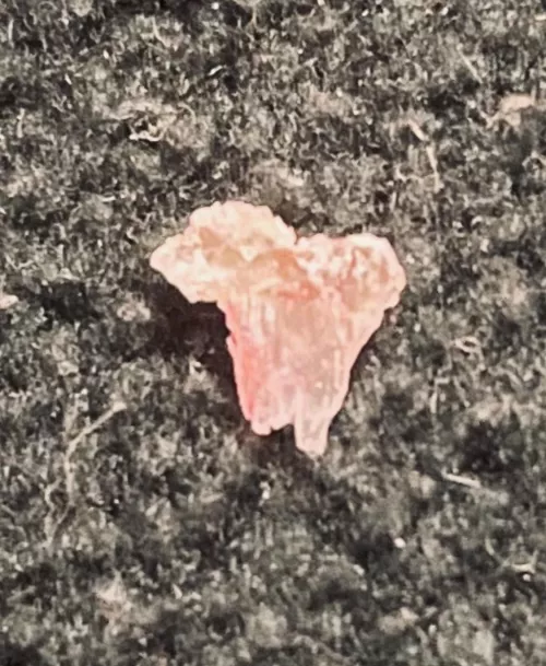 Freshly pulled spicule by momthom427