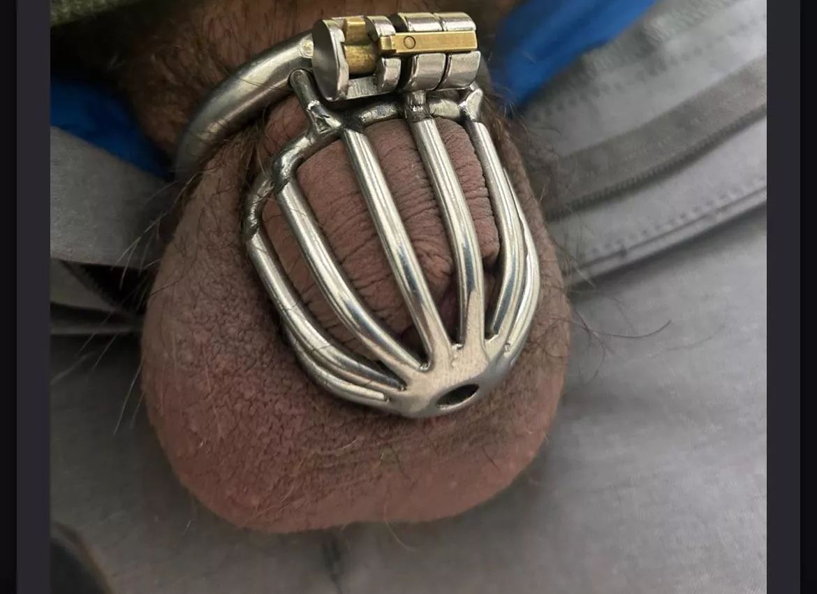 I know it’s small… posted by Imtootiny