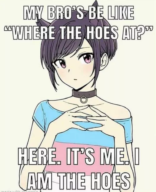 It's me. I am the hoes by Character-Process873