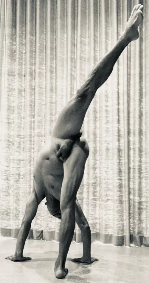 Morning stretch by garrod61