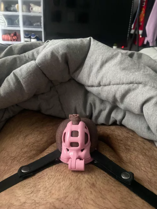 My GF has me locked up longest time was 10 days. What sentence is long enough to test a FLR by Eastern-Subject-7352