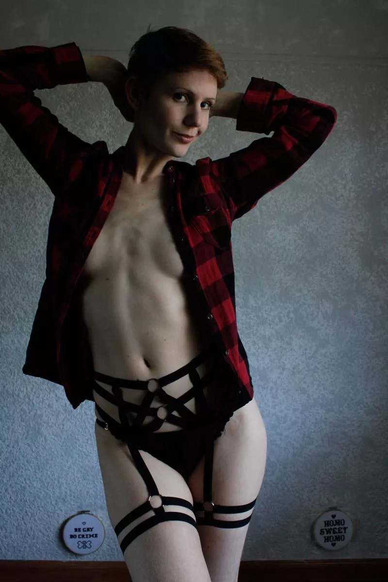 Plaid for the plaid gods! posted by stretchykitten