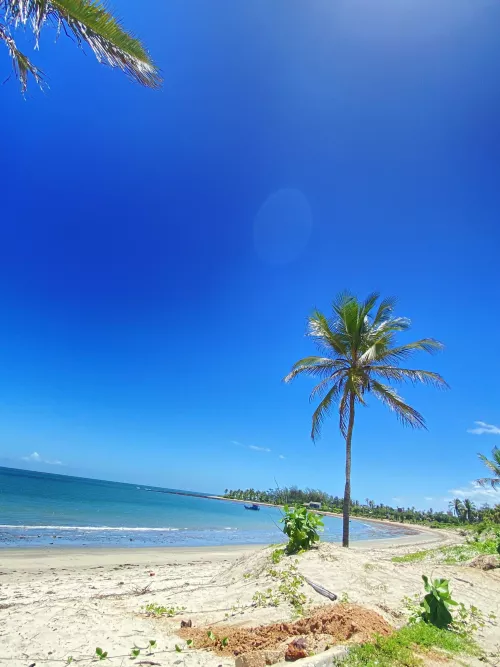 Ponta do Sardim by xeroq9x