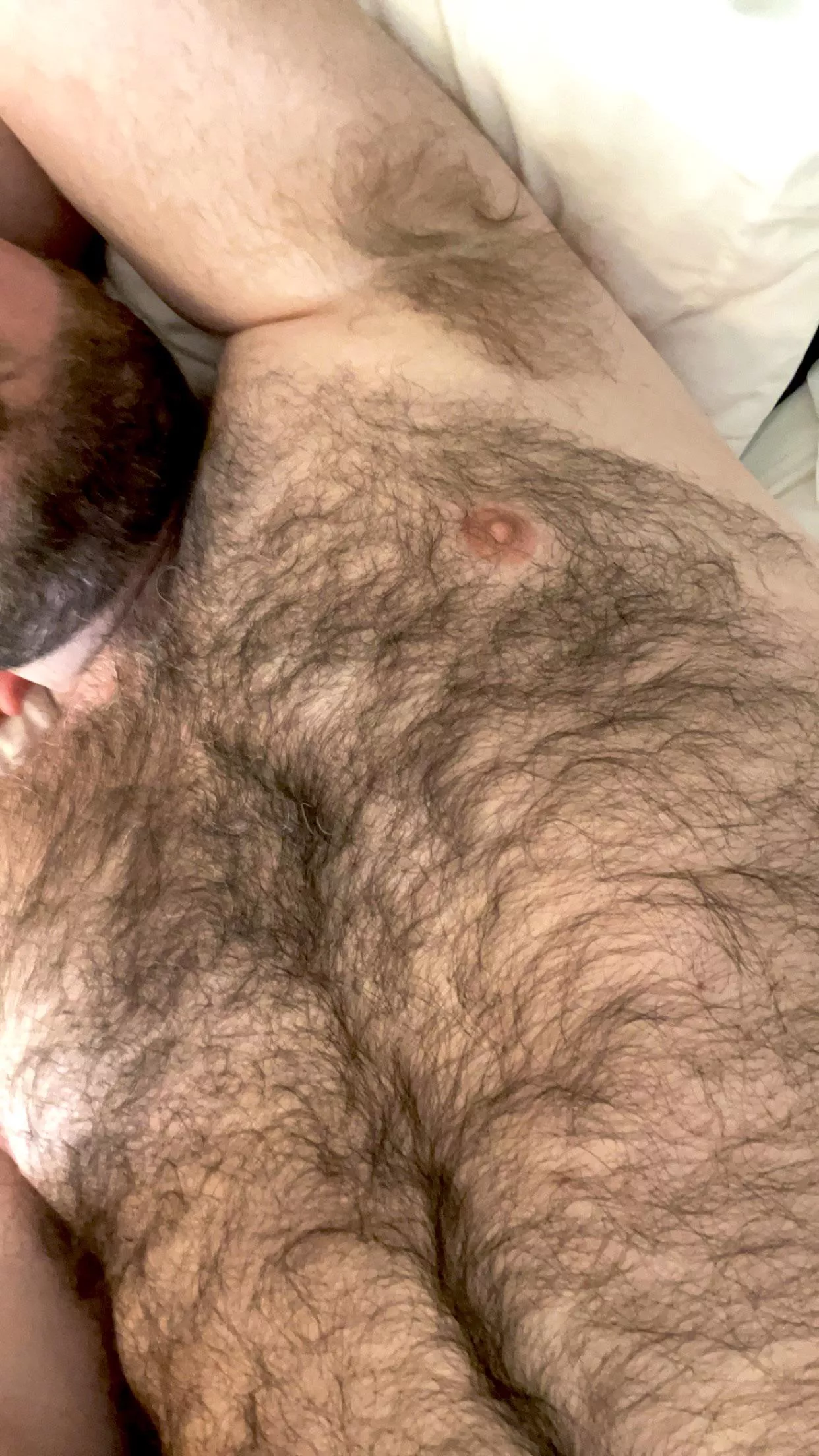 Sniff sniff  posted by tncurious