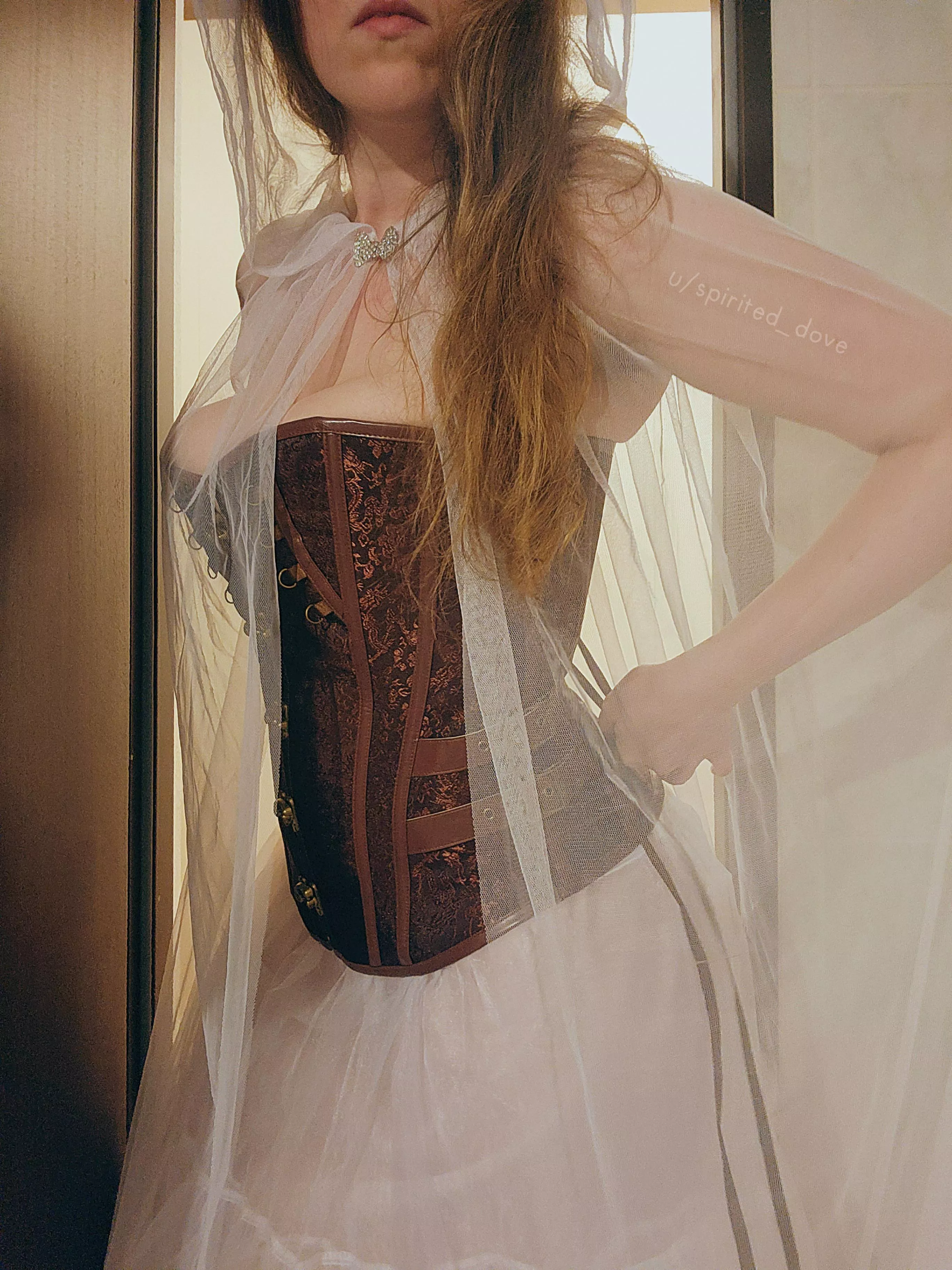 Victorian spectre  posted by spirited_dove