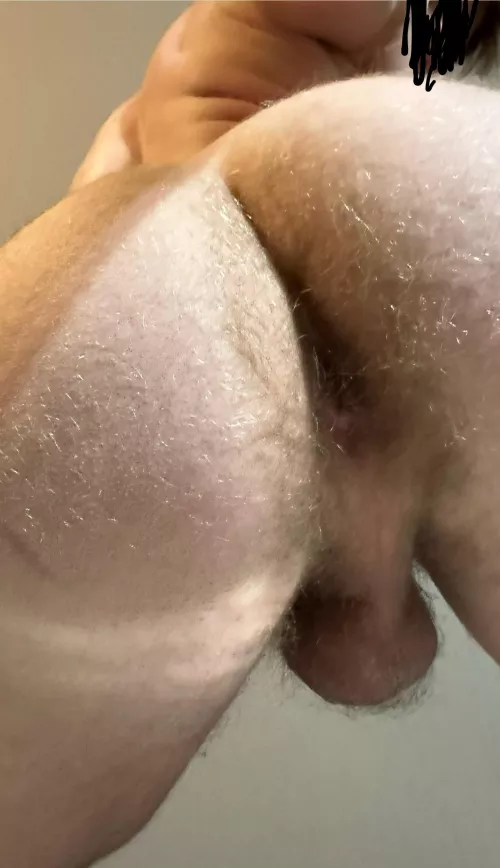 18 What do you want to do by DVK1937