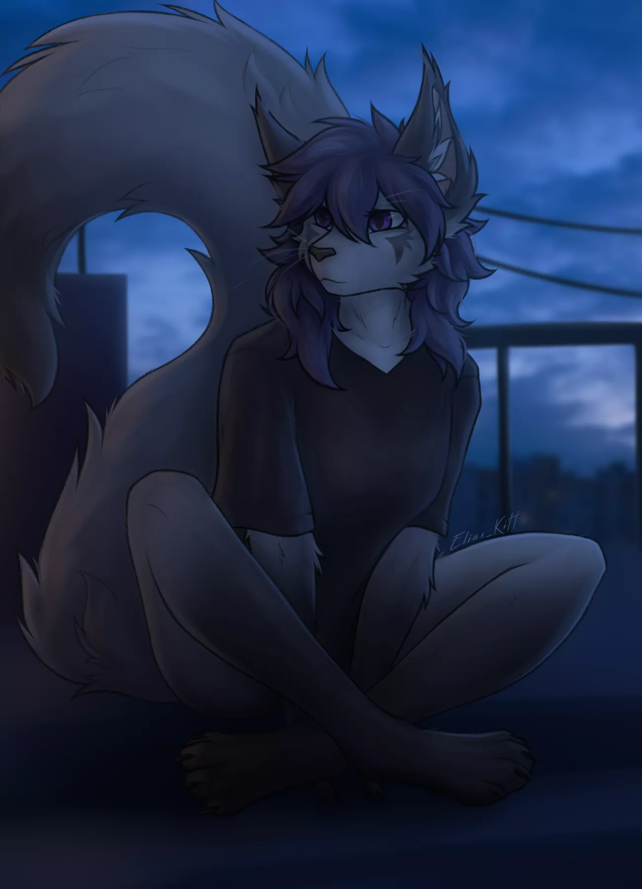 A cat on the roof (Elias_Kiff) posted by Elias_Kiff