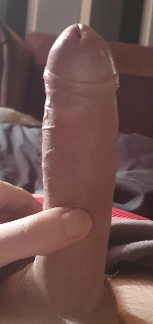 Close up picture  by Chemical-Worker-1224